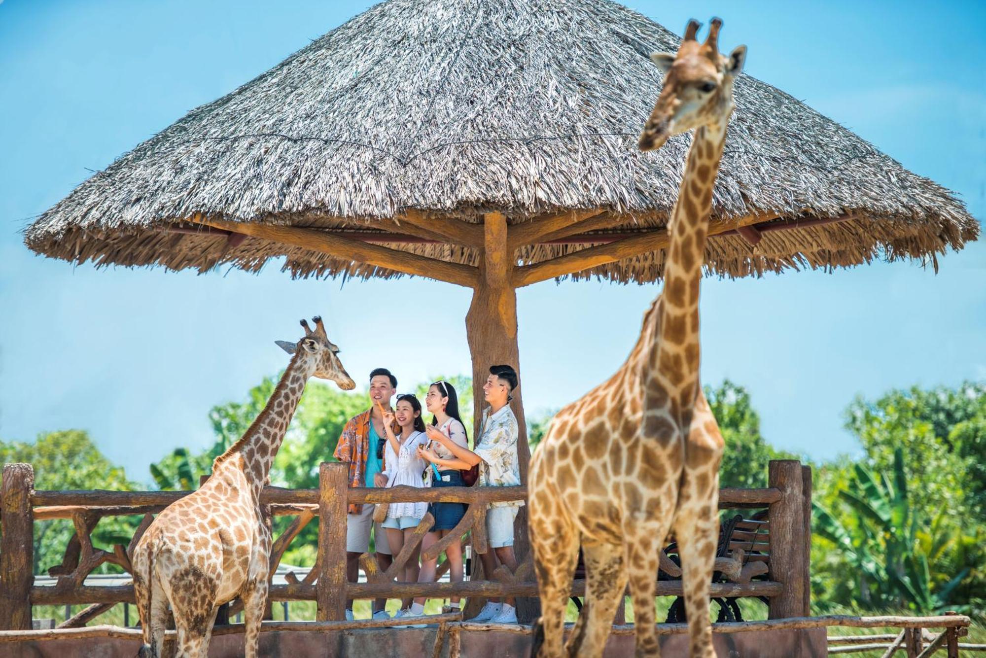 Vinpearl Resort&golf Nam Hoi An Resort